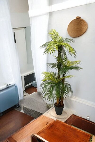 ERHAN FLOWERS ÇİÇEK & DEKORASYON Yapay Palmıye Arekası Plastık Saksıda 160 CM