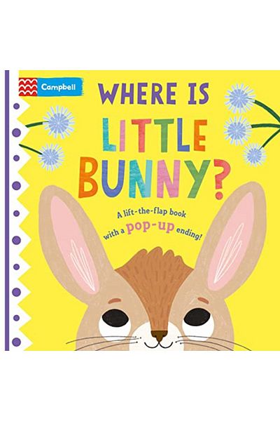 Macmillan Distribution Where Is Little Bunny