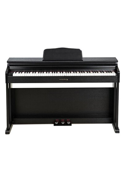 Arsenberg Adp 1981 Bng 2025 Versiyon