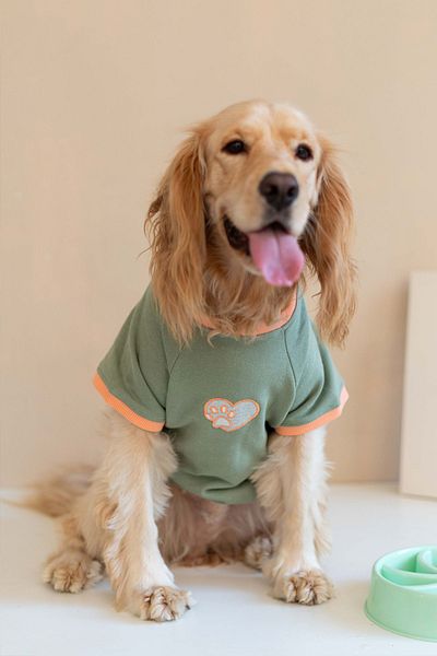 Lorico Dog Thin Sweatshirt (100% Cotton) - Green - Dog Clothing