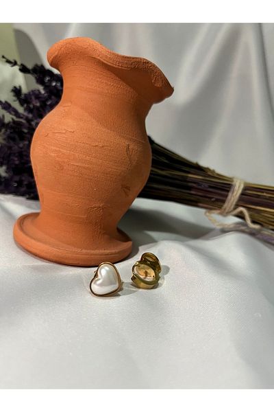 stainles steel Steel Gold Heart Detailed Earrings