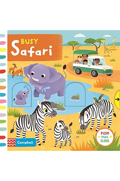 Macmillan Distribution Busy Safari