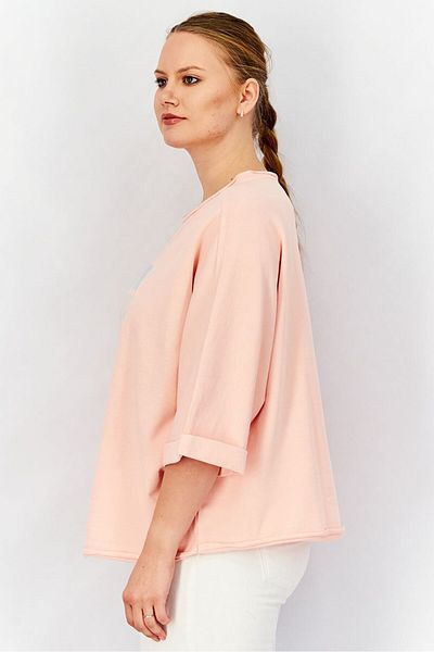 Tchibo Women Round Neck Embroidered Sweatshirt, Pink Combo