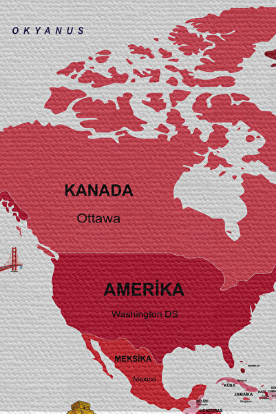 N NOXXO Wall Cover / Carpet Flag Detailed Turkish Current World Map -3968