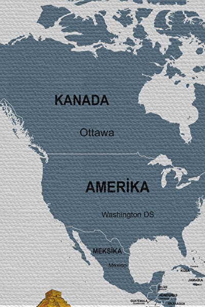 N NOXXO Wall Cover / Carpet Detailed Current Turkish World Map Quality Canvas Fabric-3975