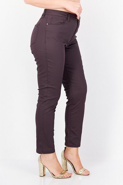 Tommy Hilfiger Women Skinny Fit High Rise Plain Chino Pants, Brown