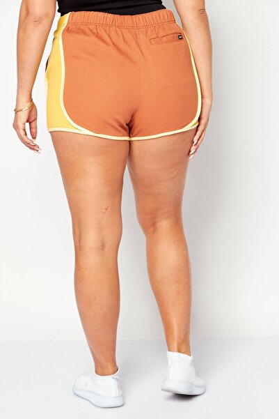 RVCA Women Color Blocked Basic Shorts, Brown Combo