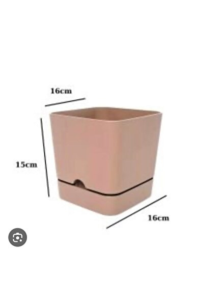 seazde POLİWORK Begonya 16 KARE KREM  2.3 Lt  SAKSI