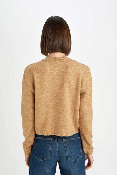 DeFacto Crew Neck Regular Fit Knitwear Cardigan - Flat Button C9052Ax24Wn