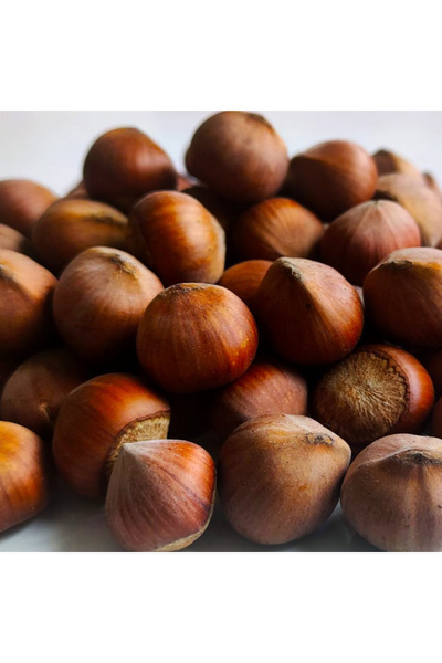 NVYBİJUTERİ KABUKLU FINDIK 1 KG