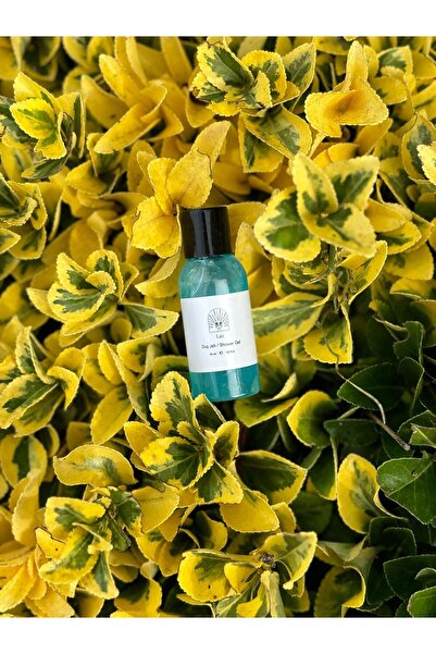 LUZ Otel Şampuanı 100 Adet Otel Duş Jeli 100 Adet Otel Sabunu 100 Adet Buklet Seti Tek Kullanımlık