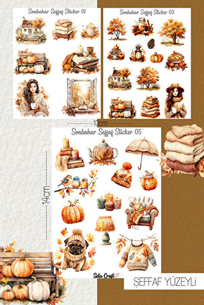 SelisCraft Sonbahar Temalı Şeffaf Sticker 01-03-05 Ajanda Planlayıcı Bullet J...