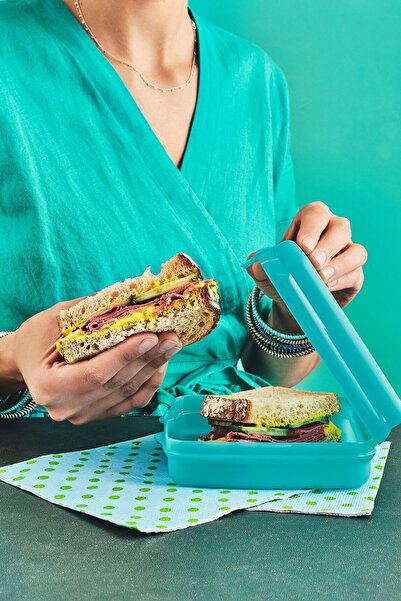 Tupperware Eco Sandviç Kutusu Gökyüzü