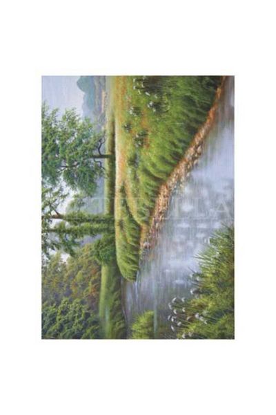 Artebella إكسترا بويوك كولاي نقل كويو زيمين 35x50 سم 1607 فولت