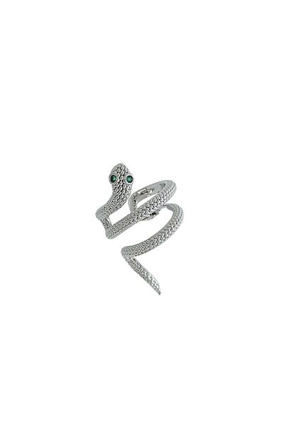 Çlk Accessories Premium Single Spiral Snake Cartilage Earrings