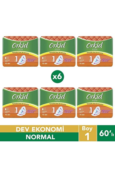 Orkid Maxi Normal Sanitary Pads 60 Pieces (PACK OF 10X6)