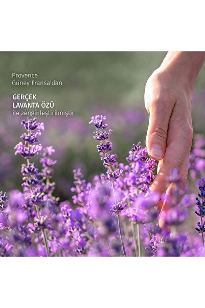 Herbal Essences Kabarıklık Önleyici Lavanta Kokulu Şampuan 350ml