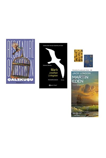 İnkılap Kitabevi Çalıkuşu - Martı - Martın Eden  ( 2 Defter HEDİYE)