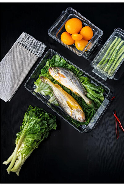 Turkco Smart Fresh Series Plastic Fridge Storage Container with Lid, Refrigerator Organizer, 2 Liters