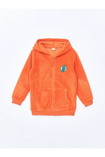 LC Waikiki Lw - Crew Neck Long Sleeve Printed Baby Boy Zippered Sweatshirt