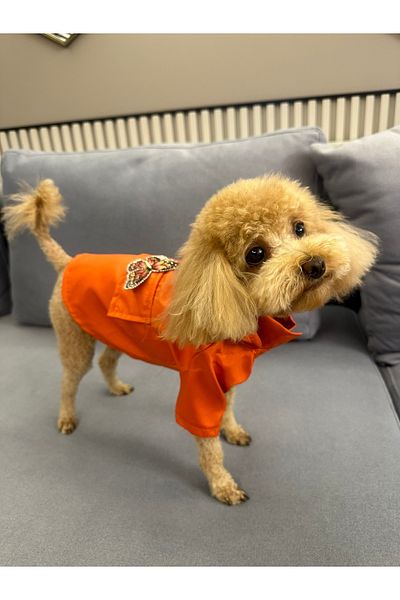 SayPuppy Small Breed Winter and Seasonal Orange Dog Raincoat