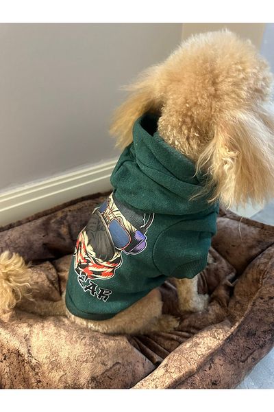 SayPuppy Small Breed Winter and Seasonal Green Dog Hooded Sweatshirt