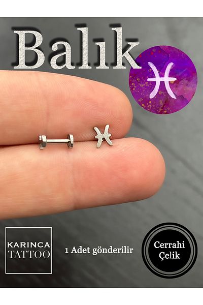 Karınca Piercing Zodiac Symbols Zodiac Ear Tragus Helix Cartilage Piercing Earring