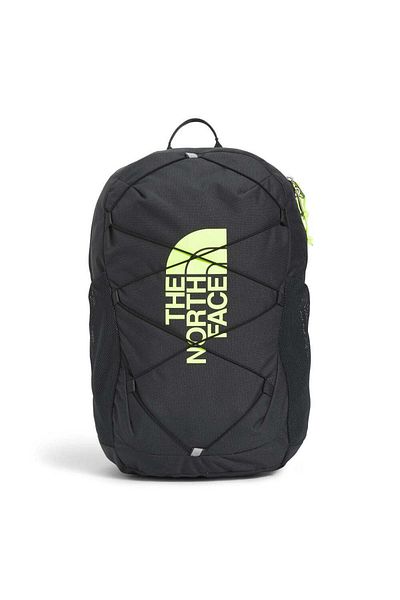 THE NORTH FACE Batoh Y Court Jester