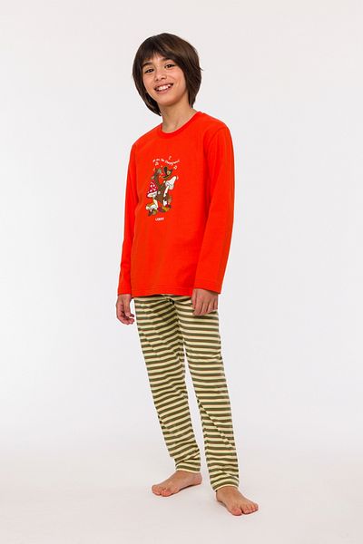 Woody Boy's Pajamas - 2-8 Years, Pls 403-Pomegranate Flower