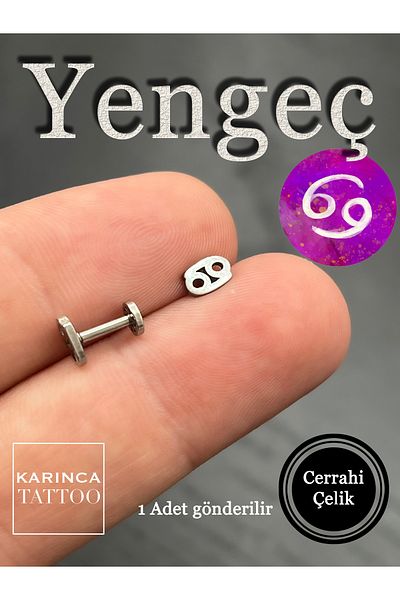 Karınca Piercing Zodiac Symbols Zodiac Ear Tragus Helix Cartilage Piercing Earring