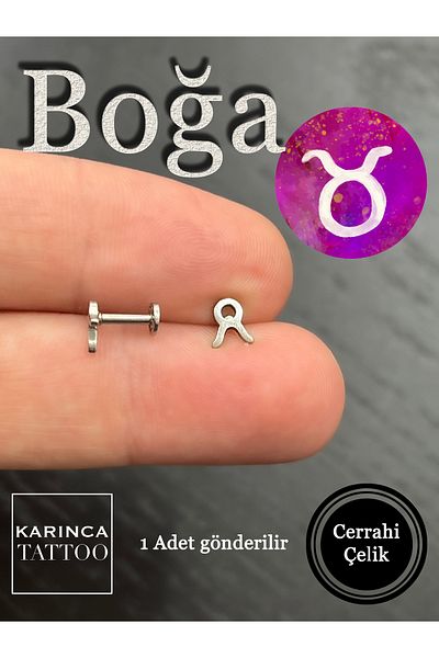 Karınca Piercing Zodiac Symbols Zodiac Ear Tragus Helix Cartilage Piercing Earring