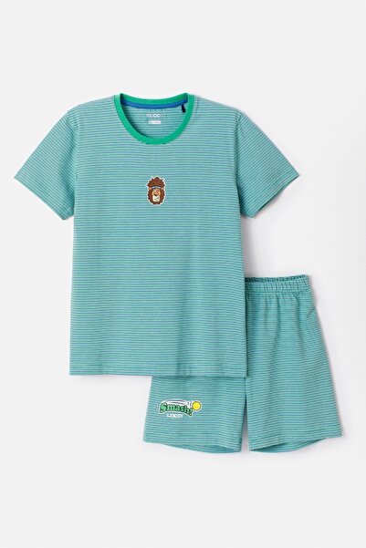 Woody 2-8 Years Old Boy Pajamas-Pza - 911-Lion Themed Striped Blue