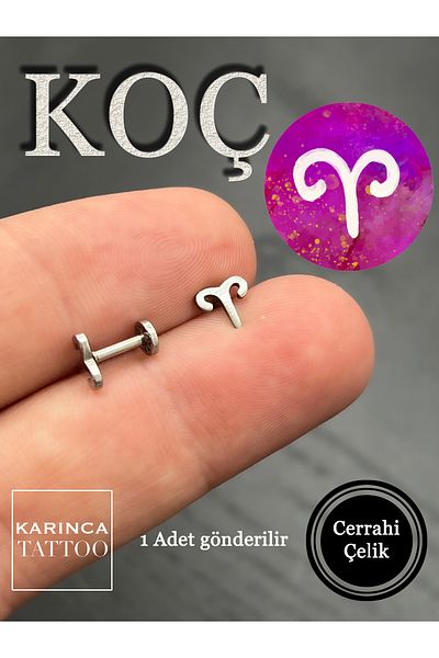 Karınca Piercing Zodiac Symbols Zodiac Ear Tragus Helix Cartilage Piercing Earring