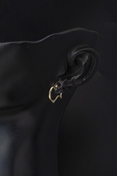 Bilezikci Orta Boy 14 Ayar Altın Kalp Halka Küpe