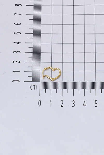 Bilezikci Orta Boy 14 Ayar Altın Kalp Halka Küpe