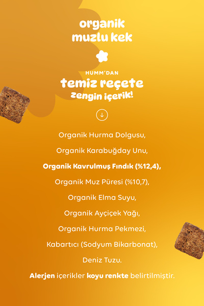 Humm Organic Organik Glutensiz Vegan Muzlu Kek Atıştırmalık Paketi - 6 adet