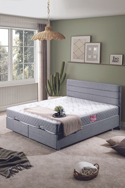 Setay Sofia Çift Kişilik Baza Başlık Letto Yatak Seti Açık Gri