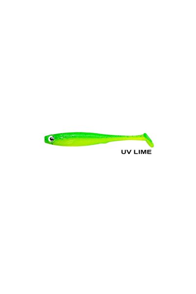 Mister Shad 10cm 7gr Silicone Feed