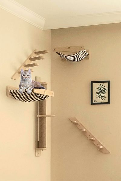 BUSHOP Magnificent 5-Piece Cat Park - Cat House, Cat Bed, Wall House and Shelf