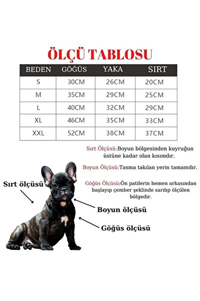 BUSHOP Dog Harness Running Set Four-Piece Set S Brown