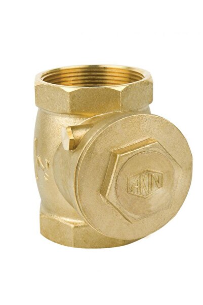 Ethab Ticaret 1'' Brass Check Valve Solid Brass