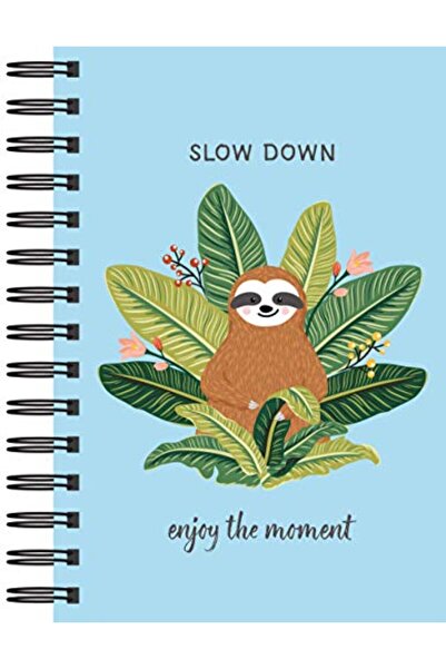 Ingram Internatıonal Inc مجلة الكسلان - أبطئ - استمتع باللحظة - دفتر يوميات