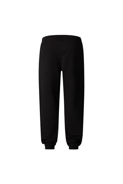 THE NORTH FACE Men's Black Coordinates Pants - Nf0A89Dbjk31 Regxs