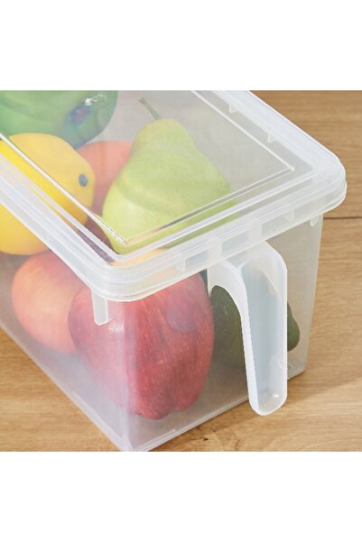 Home Box Vega Storage Organiser with Handle - 29.5x15.5x14 cm