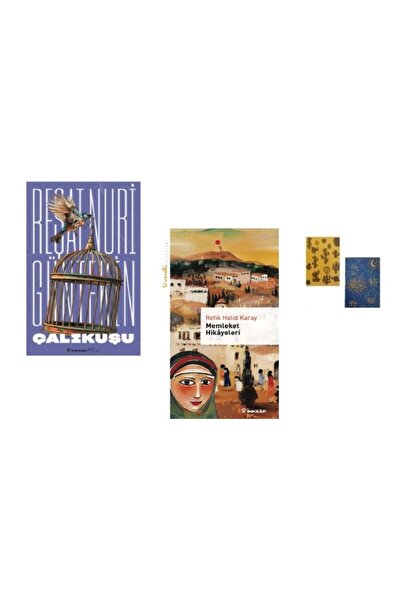 İnkılap Kitabevi Çalıkuşu - Memeleket Hikayaleri ( 2 Not Defteri HEDİYE)