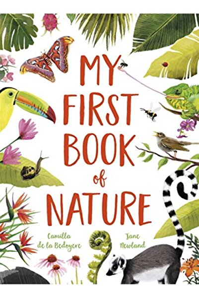 GBS Grantham Book Service My First Book Of Nature