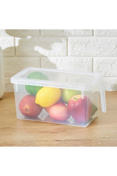 Home Box Vega Storage Organiser with Handle - 29.5x15.5x14 cm
