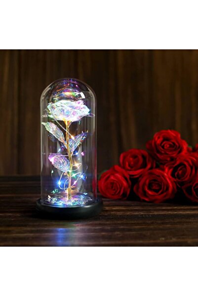 Fanus içerisinde Dekoratif RGB Ledli  Sonsuzluk Gülü Solmayan Gül Galaxy Rose Sonsuz Aşk Hediyesi