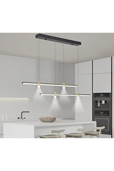 ZR AYDİNLATMA Siyah 3000K, Kumandalı 2*100CM LED Lamba, Sarkıt Avize, Modern Aydınlatma