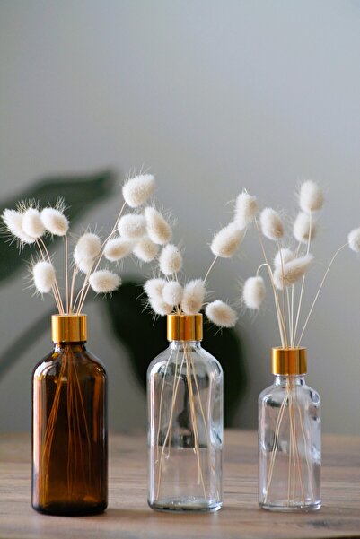 Juniberry Çok Amaçlı Amber Dekoratif Cam Vazo Şişe Şeffaf Vazo ÇİÇEKSİZ